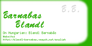 barnabas blandl business card
