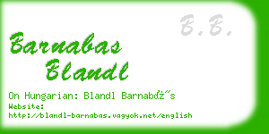 barnabas blandl business card